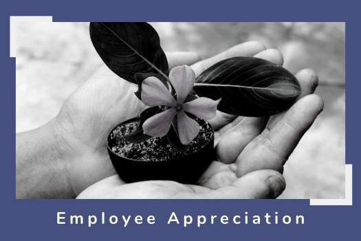 Employee Appreciation &ndash; Keep It Simple and Be Authentic